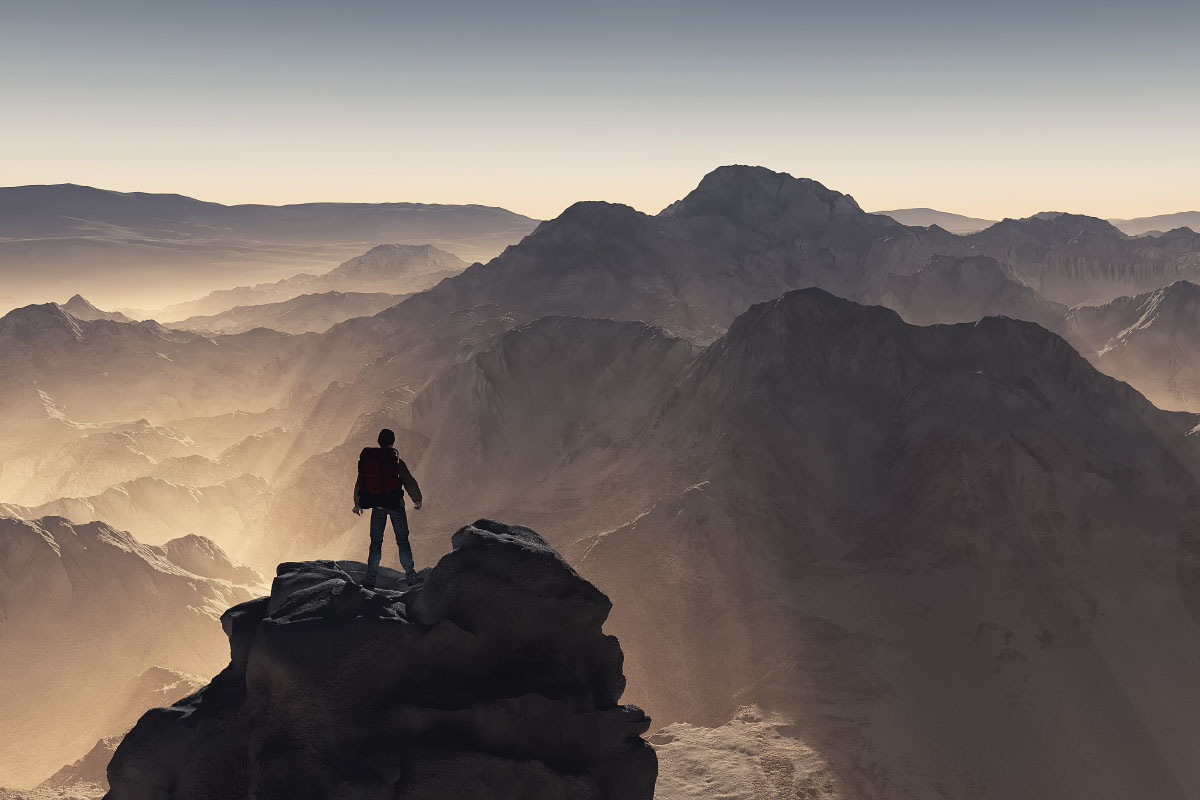 Understanding behavior leads to category domination